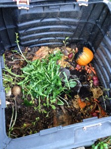 collards-in-compost