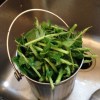 stems-of-collards