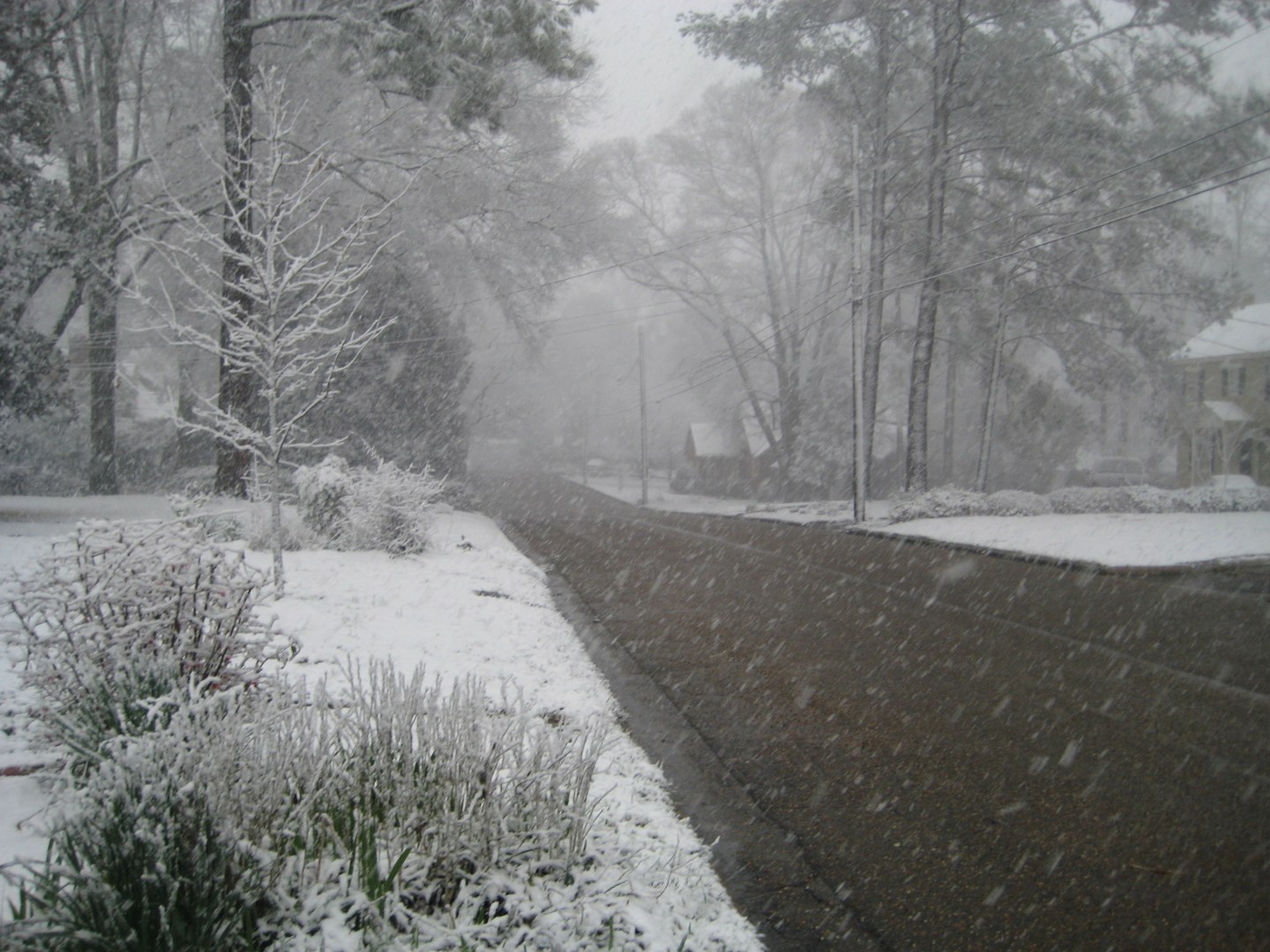 Snow in Montgomery Alabama March 2009