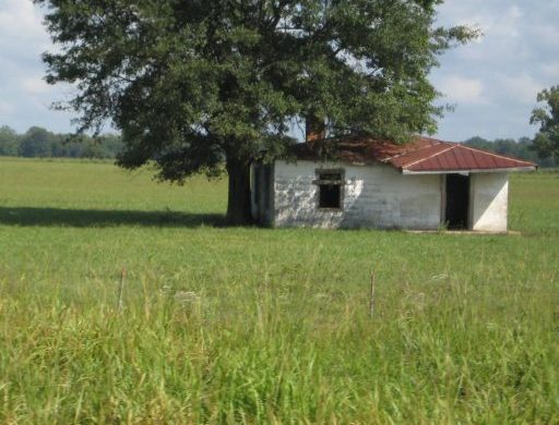 house highway 80 newbern alabama Foster Dickson, 2010