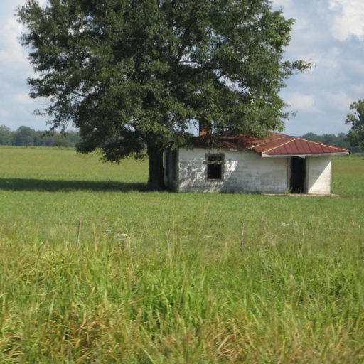 A Deep Southern Throwback Thursday: The WAPX Shootout,&nbsp;1974