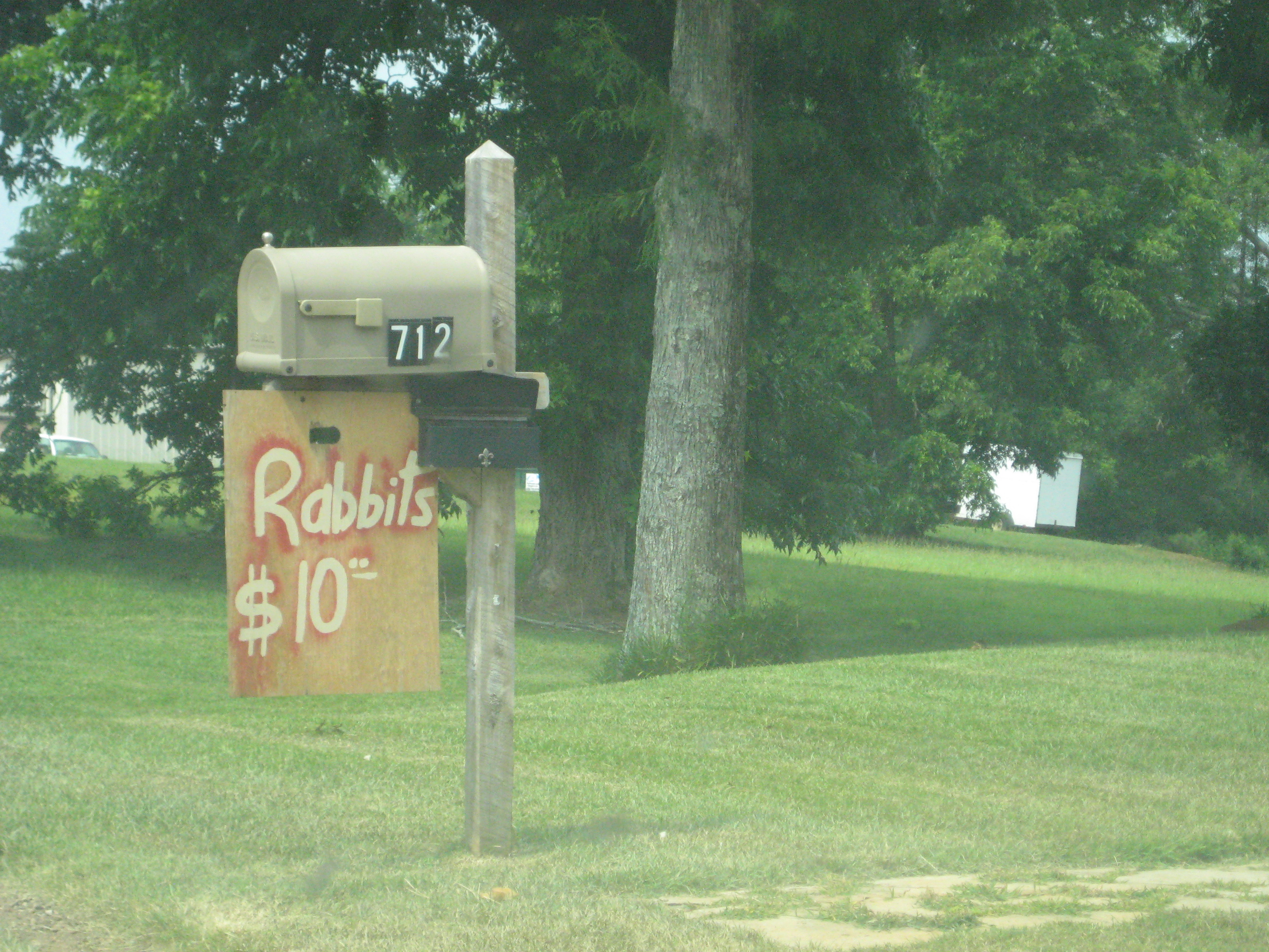 Dadeville Alabama 2009