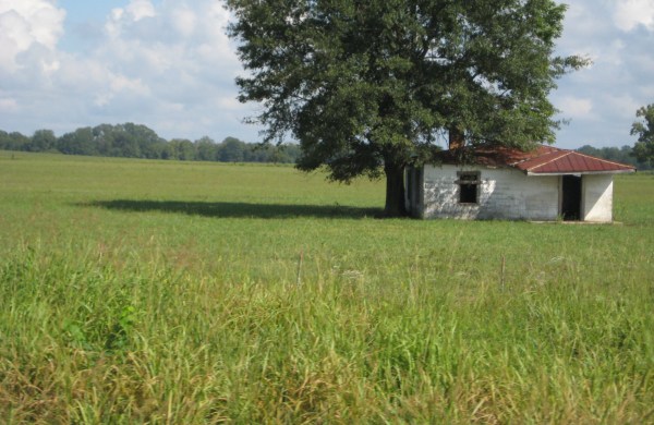 house in Alabama Black Belt Highway 80