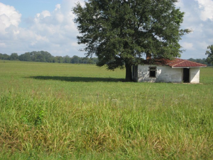 The Editor’s Reading List on “Nobody’s Home”