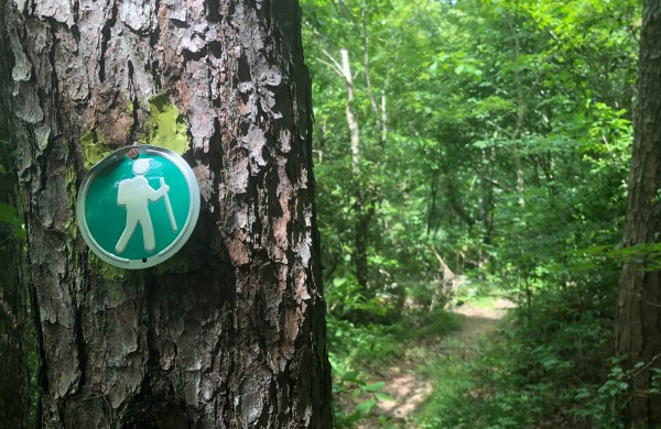 hiking trail Desoto State Park, Alabama