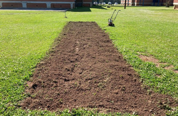 revived schoolyard garden bed Foster Dickson