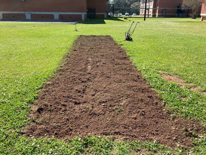revived schoolyard garden bed Foster Dickson