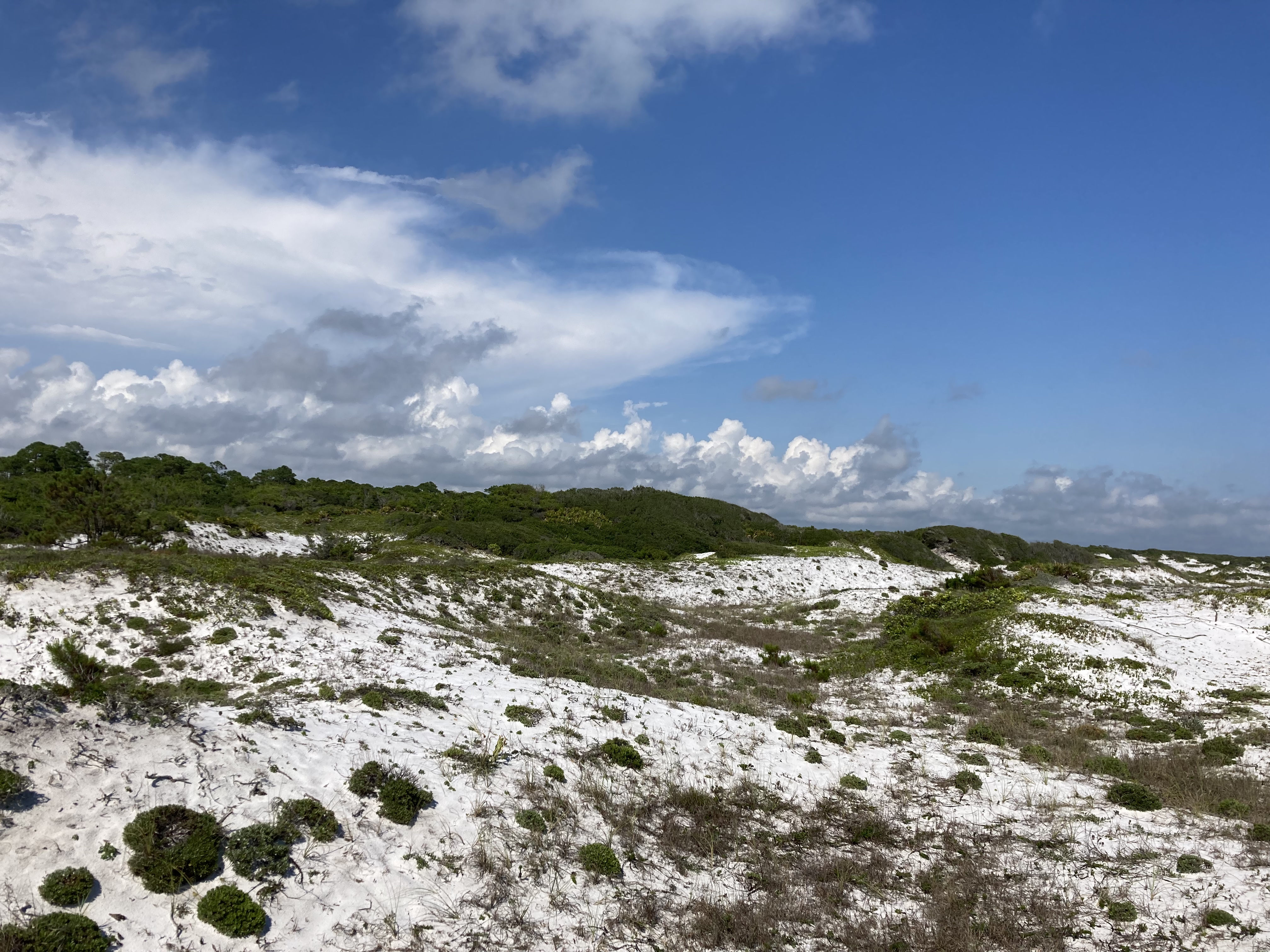 topsail hill state park Foster Dickson