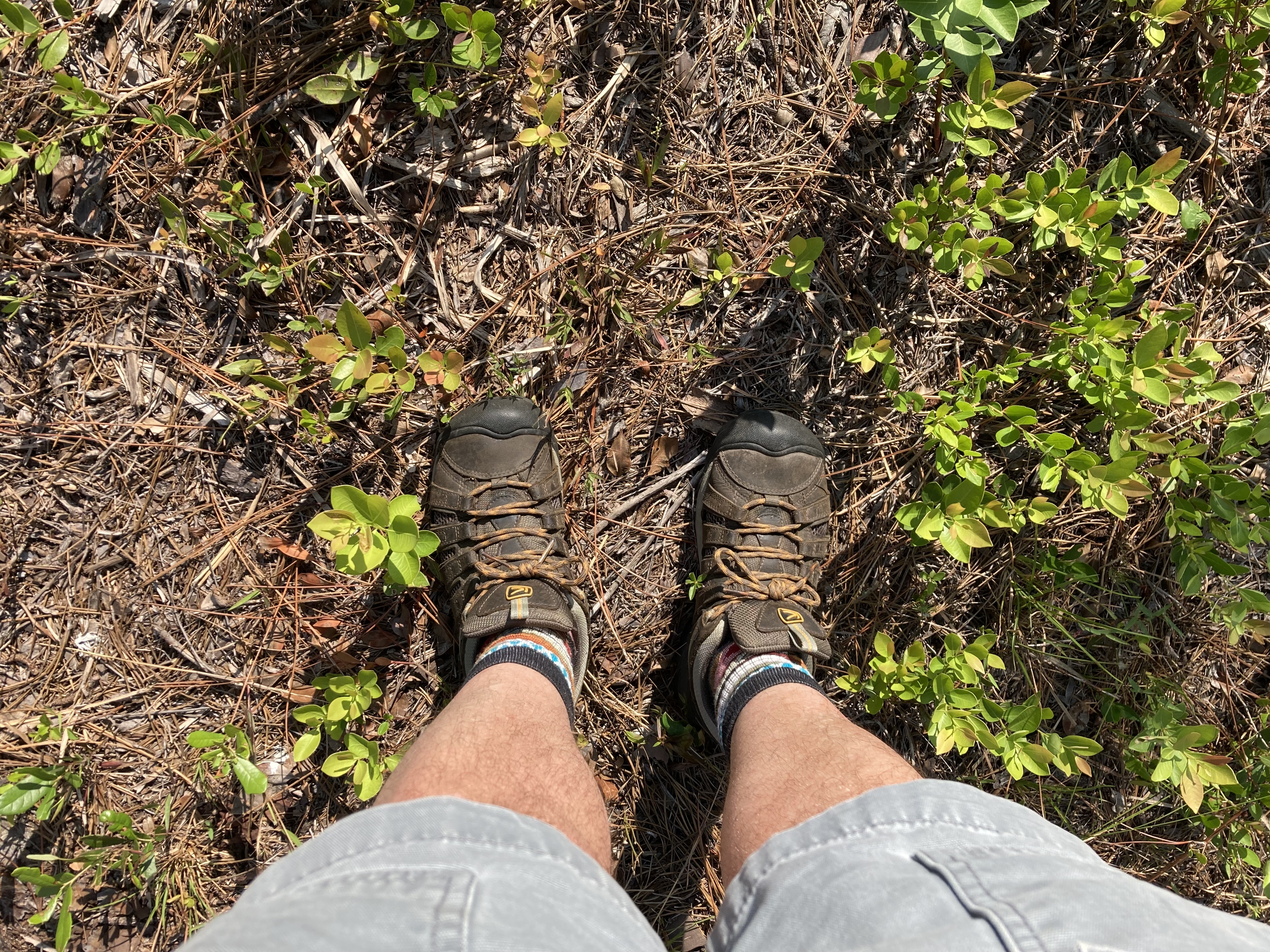 keen hiking boots Foster Dickson