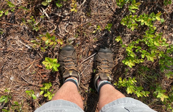 keen hiking boots Foster Dickson