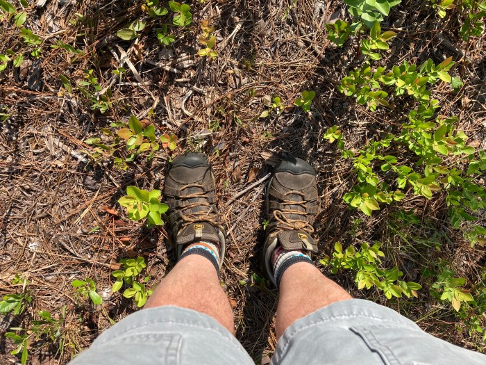 Spring 2023 (in&nbsp;images)